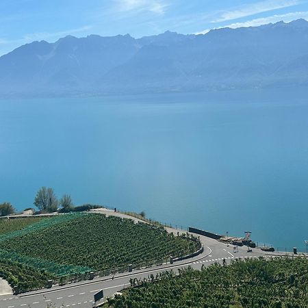 Room With 360° View Overlooking Lake Geneva And Alps Puidoux Dış mekan fotoğraf