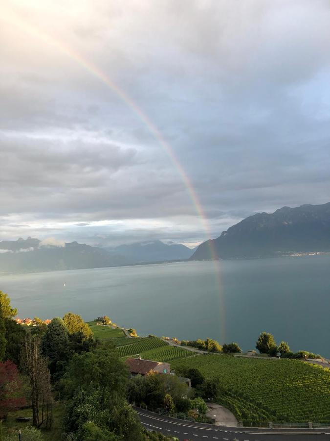 Room With 360° View Overlooking Lake Geneva And Alps Puidoux Dış mekan fotoğraf