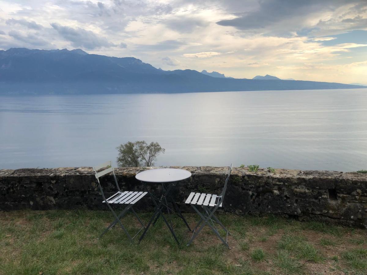 Room With 360° View Overlooking Lake Geneva And Alps Puidoux Dış mekan fotoğraf