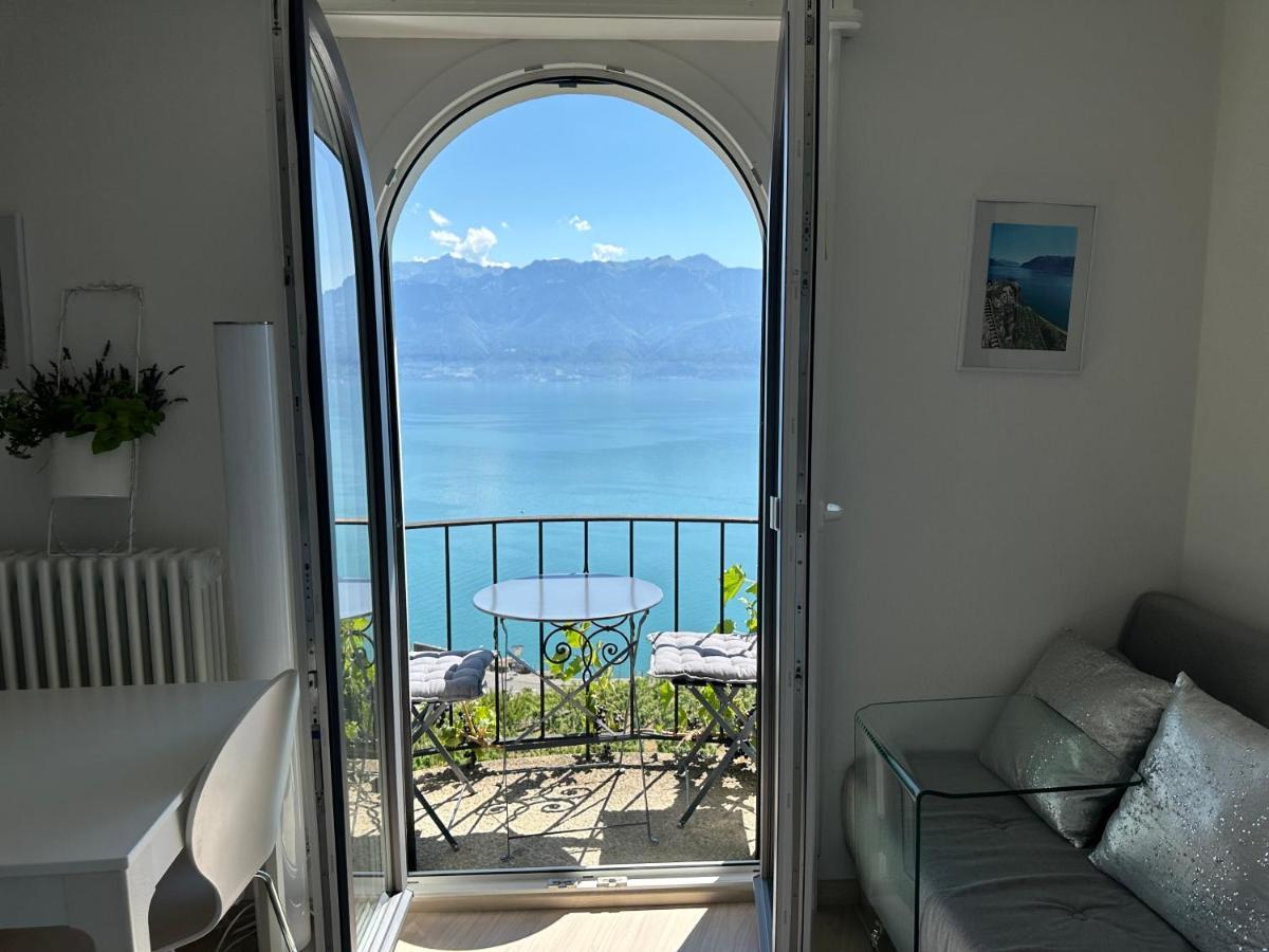 Room With 360° View Overlooking Lake Geneva And Alps Puidoux Dış mekan fotoğraf