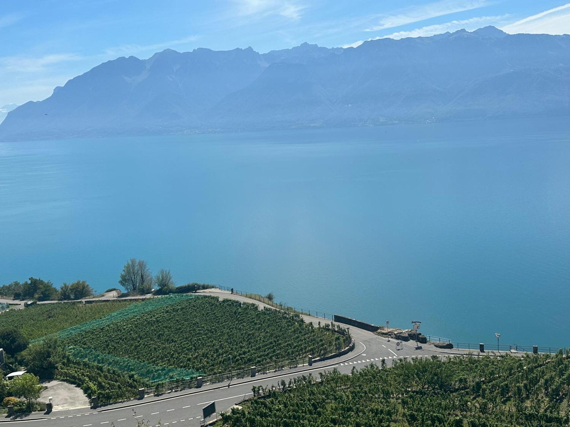 Room With 360° View Overlooking Lake Geneva And Alps Puidoux Dış mekan fotoğraf